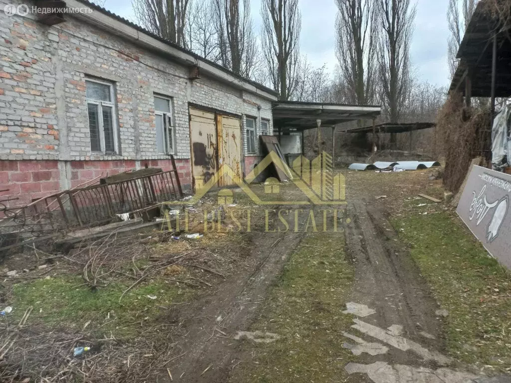 Помещение свободного назначения (250 м) - Фото 2