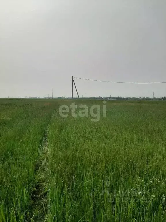 Участок в Амурская область, Благовещенский район, с. Волково  (14.7 ... - Фото 0