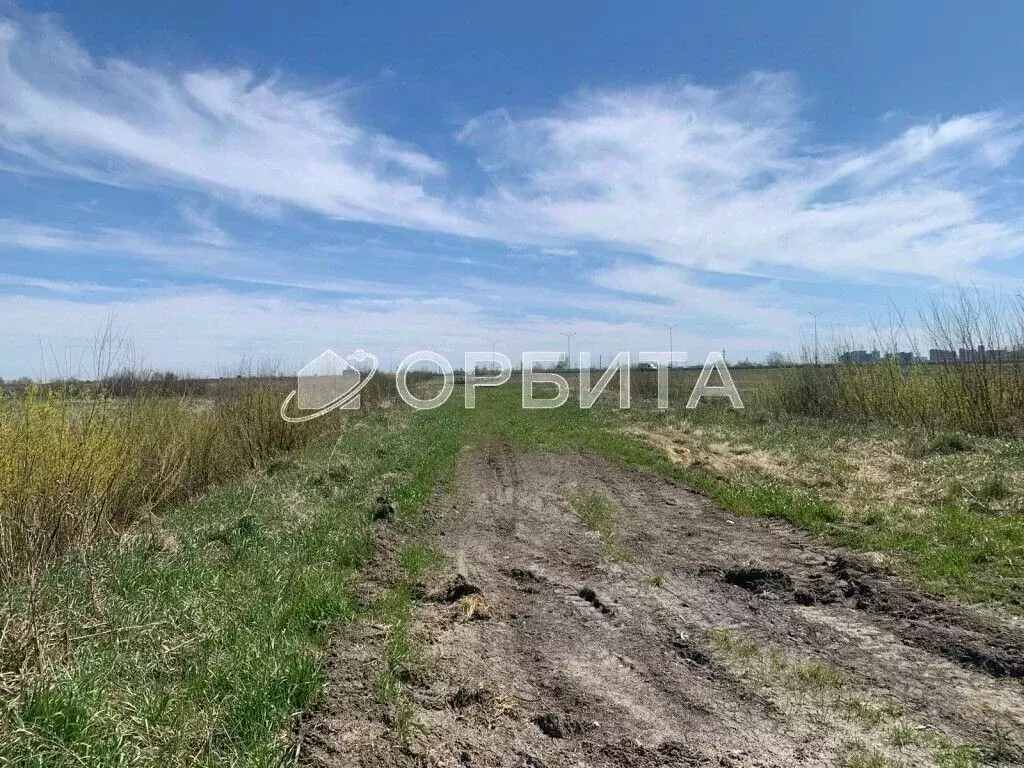 Участок в Тюменская область, Тюмень дор. Окружная (1428.0 сот.) - Фото 1