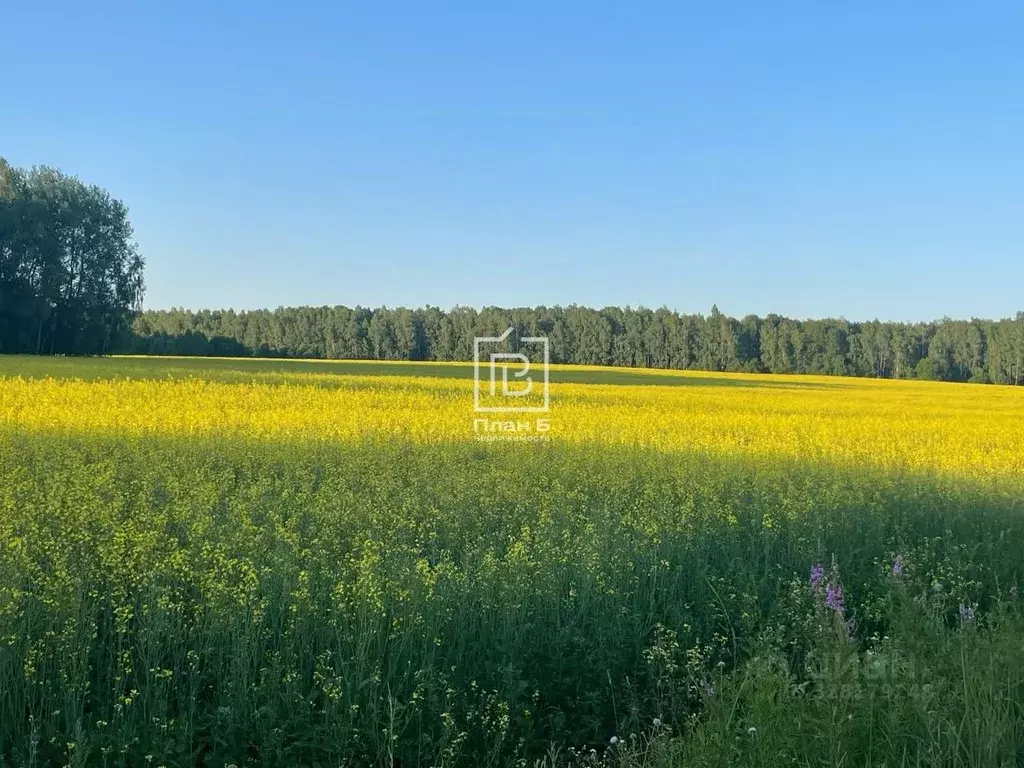 Производственное помещение в Калужская область, Износковский ... - Фото 1