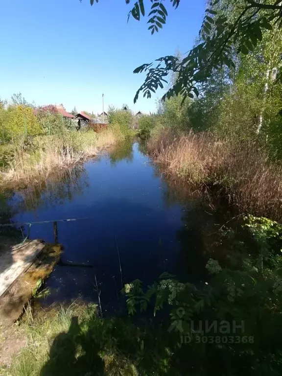 Участок в Новгородская область, Новгородский район, Панковское ... - Фото 1