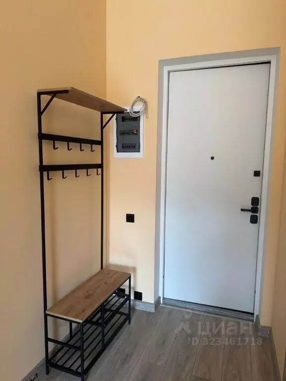 Студия Приморский край, Владивосток ул. Державина, 25 (25.9 м) - Фото 2