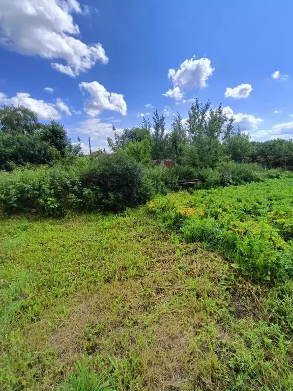 Участок в Тульская область, Тула городской округ, пос. Присады 5 (20.0 ... - Фото 2