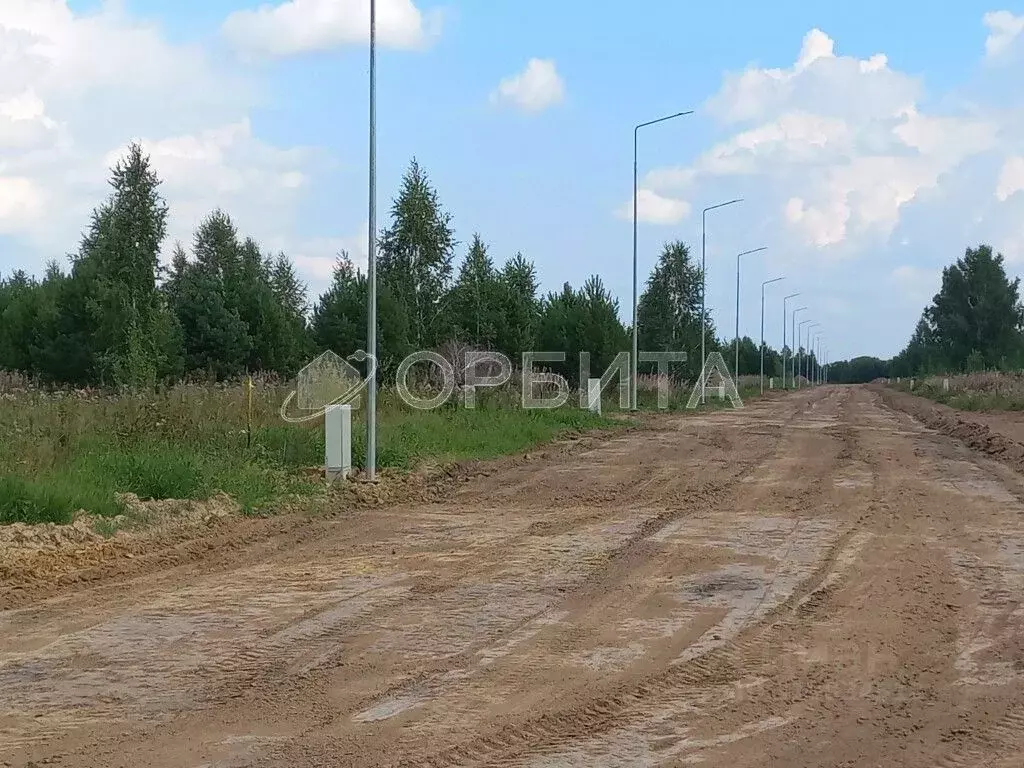 Участок в Тюменская область, Тюменский район, Новокаменский кп  (15.0 ... - Фото 2