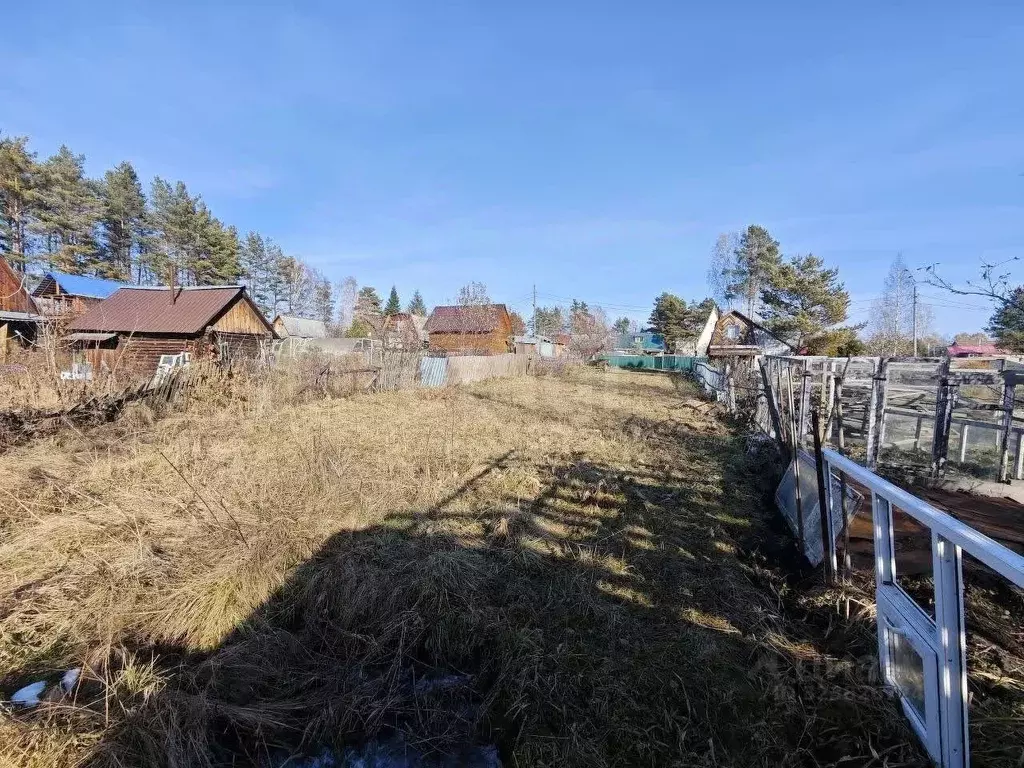 Участок в Томская область, Томский район, Лесная дача СНТ  (4.8 сот.) - Фото 1