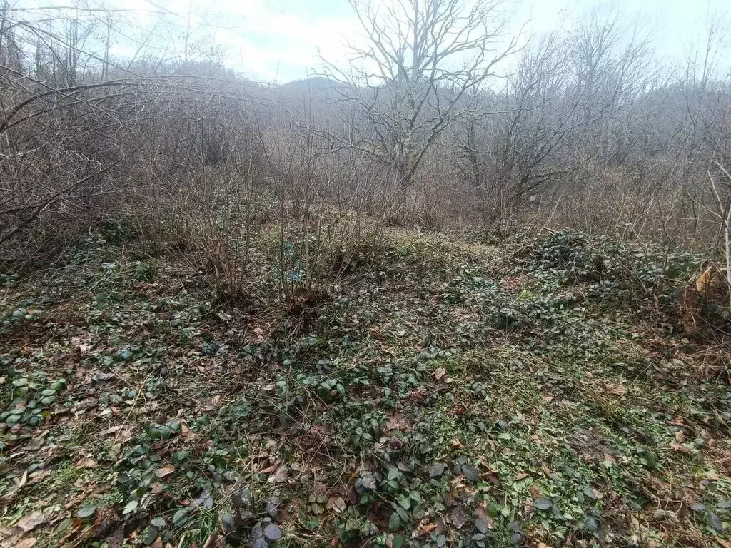 Участок в Краснодарский край, городской округ Сочи, аул Тхагапш (22 м) - Фото 2