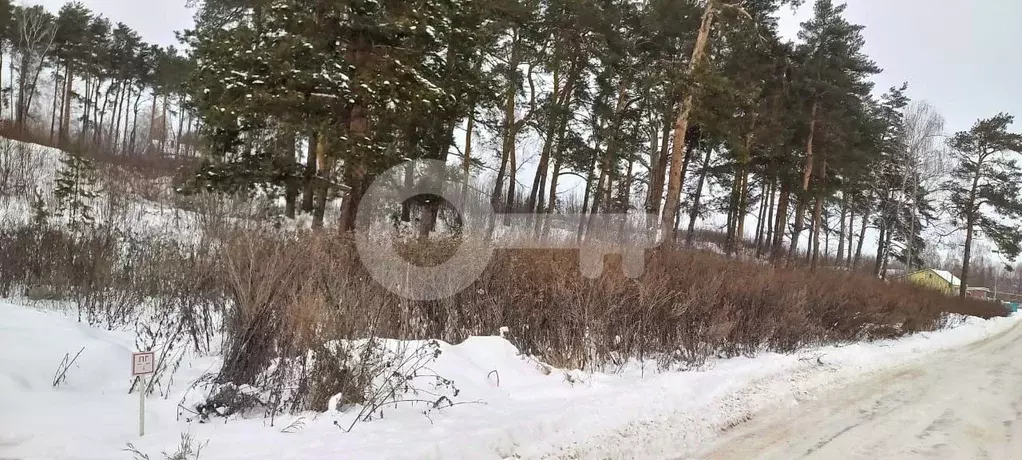 Участок в Татарстан, Верхнеуслонский район, Набережно-Морквашское ... - Фото 1