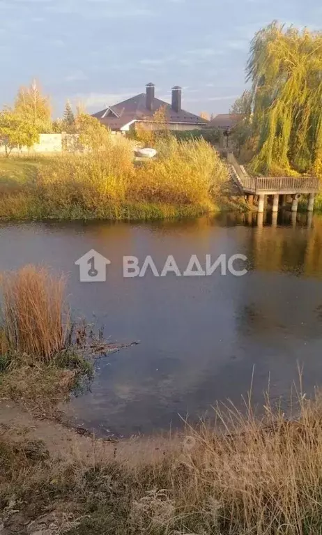 Участок в Воронежская область, с. Новая Усмань ул. 50 лет Победы, 1/3 ... - Фото 1