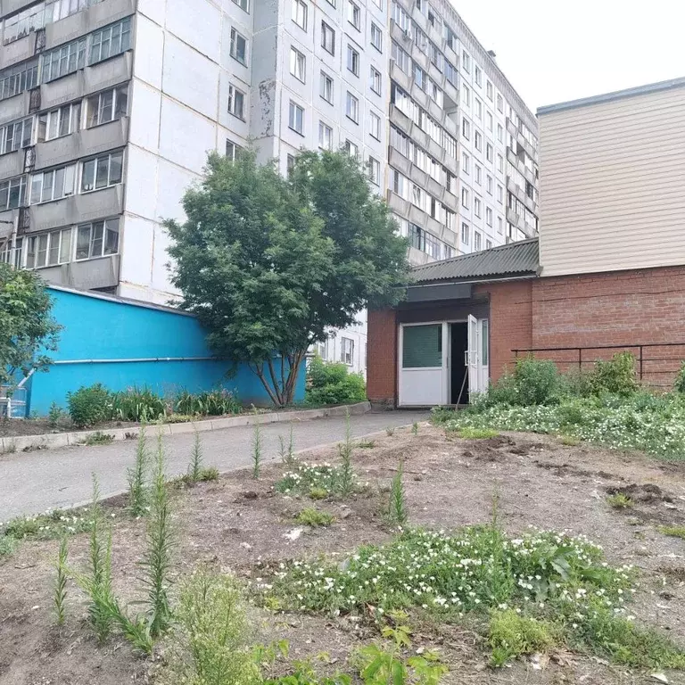 Помещение свободного назначения в Новосибирская область, Новосибирск ... - Фото 1