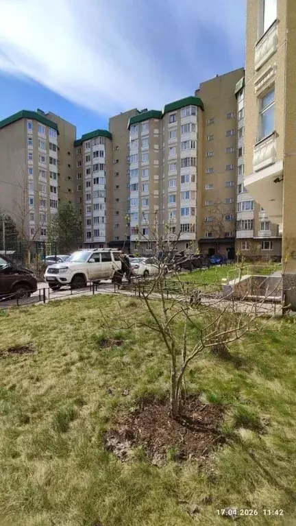 1-к кв. Ленинградская область, Сертолово Всеволожский район, Кленовая ... - Фото 1