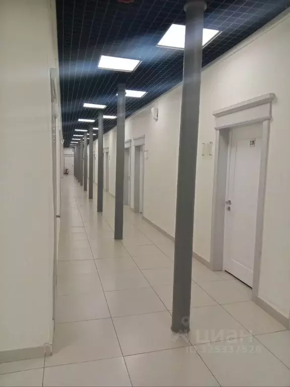 Офис в Московская область, Ногинск Богородский городской округ, ул. ... - Фото 2