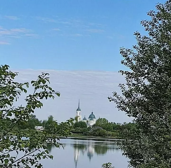 Участок в Ленинградская область, Волховский район, Пашское с/пос, д. ... - Фото 0