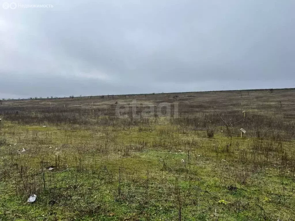 Участок в Назрань, Назрановская улица (6 м) - Фото 1