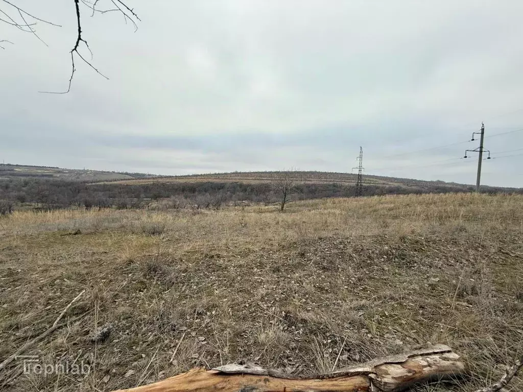 Участок в Волгоградская область, Городищенский район, Царицынское ... - Фото 1