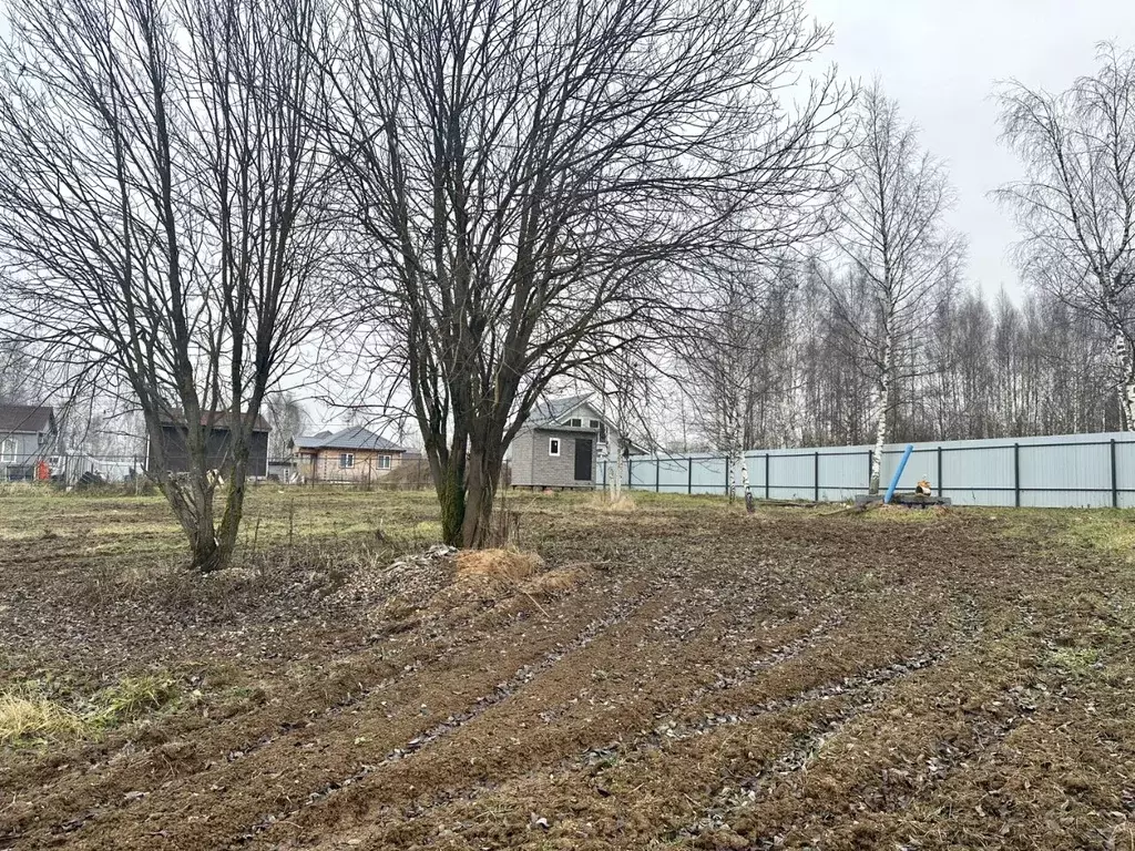 Участок в Московская область, Дмитровский муниципальный округ, д. ... - Фото 2