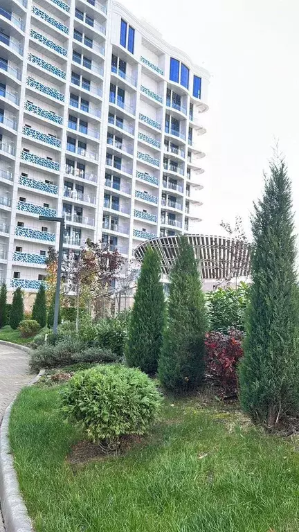 Студия Краснодарский край, Туапсинский муниципальный округ, с. ... - Фото 2
