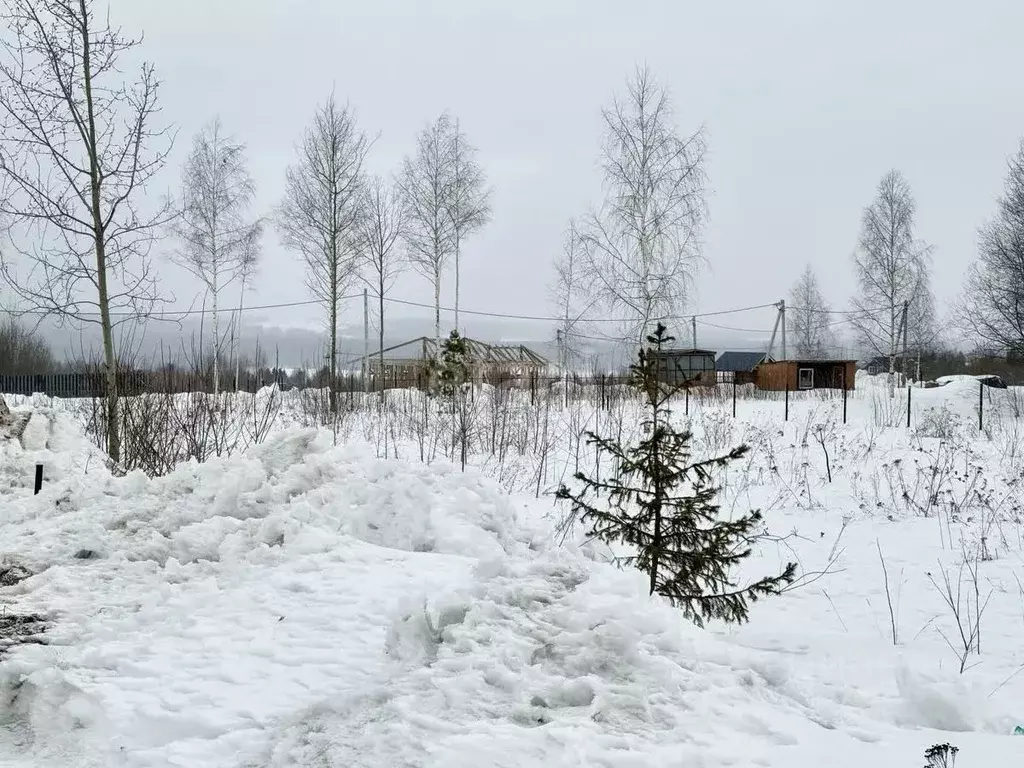 Участок в Пермский край, Добрянский муниципальный округ, д. Городище ... - Фото 1