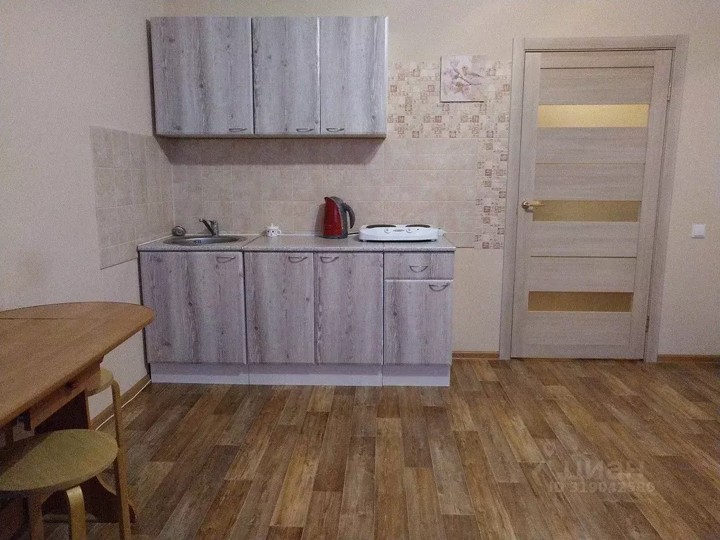 Студия Новосибирская область, Новосибирск Красный просп., 310 (26.7 м) - Фото 0