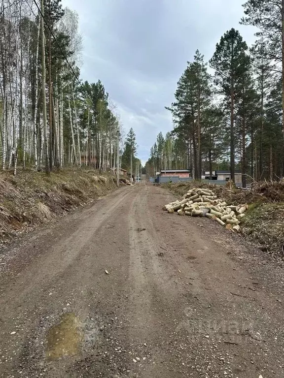 Участок в Иркутская область, Иркутский муниципальный округ, Садко ДПК ... - Фото 1
