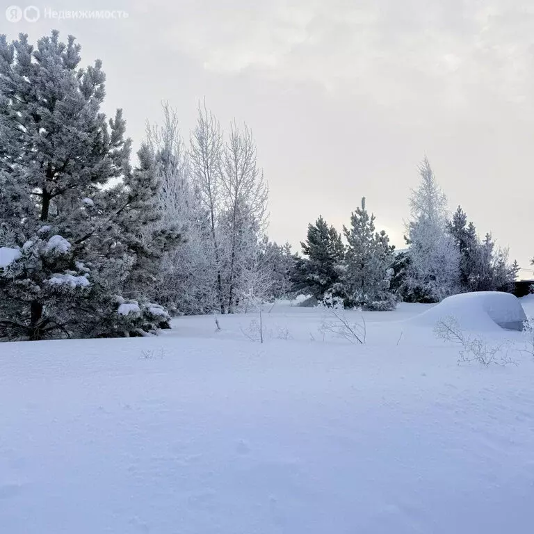 Участок в Верхнеуслонский район, Набережно-Морквашское сельское ... - Фото 1