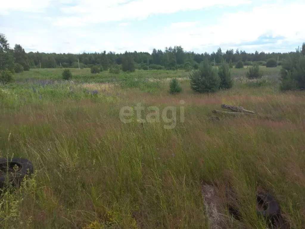 Участок в Великий Новгород, Псковский район (32874 м) - Фото 1