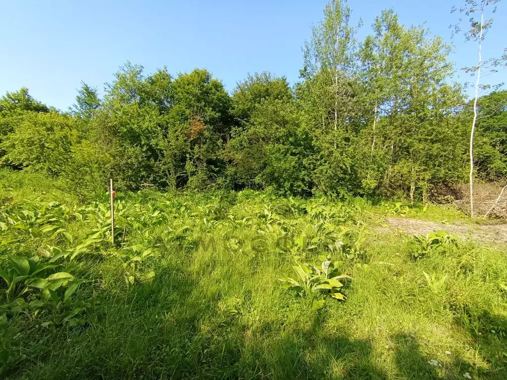 Участок в Краснодарский край, Хадыженск Апшеронский район, Самарская ... - Фото 2