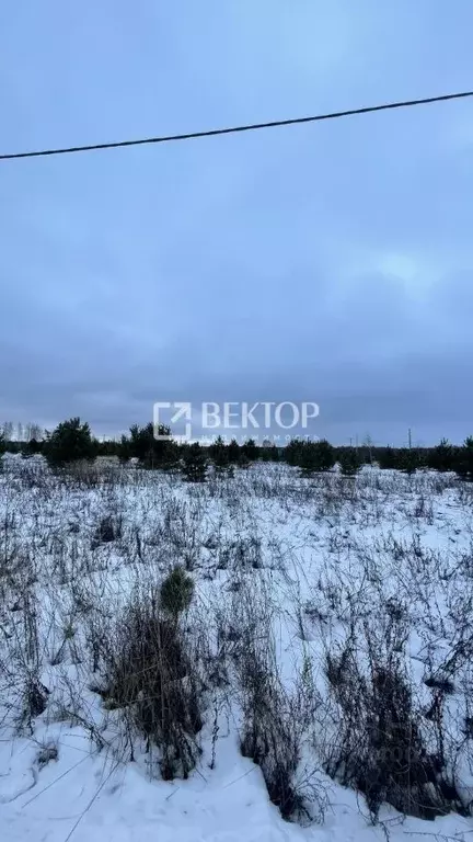 Участок в Костромская область, Кострома Первый кп,  (10.0 сот.) - Фото 1