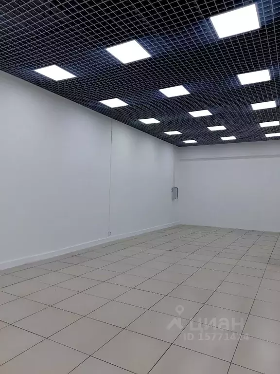 Торговая площадь в Саратовская область, Балашов ул. Энтузиастов, 1 . - Фото 1