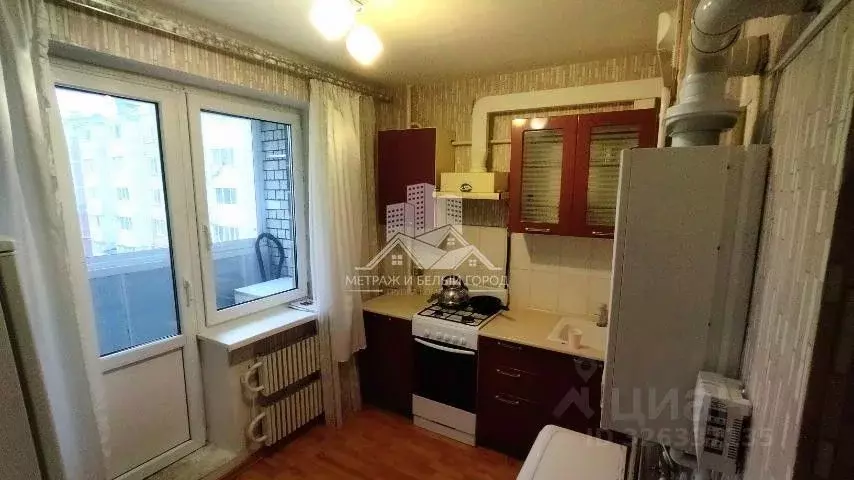 1-к кв. Белгородская область, Белгородский район, Дубовское с/пос, ... - Фото 1