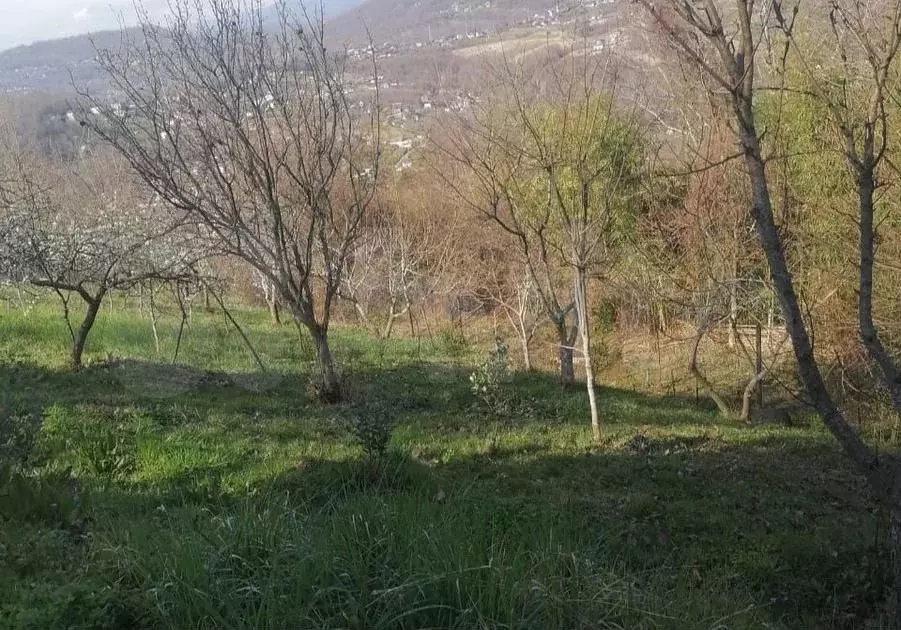 Участок 5 сот. (СНТ, ДНП) - Фото 0