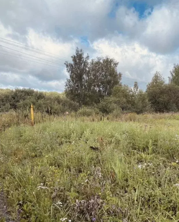 Участок в Владимирская область, Александровский муниципальный округ, ... - Фото 2