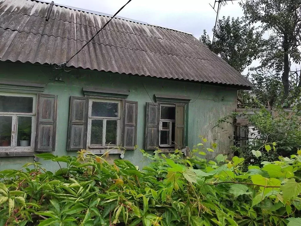 Дом в Орловская область, Орел Пожарная ул., 38 (38 м) - Фото 1