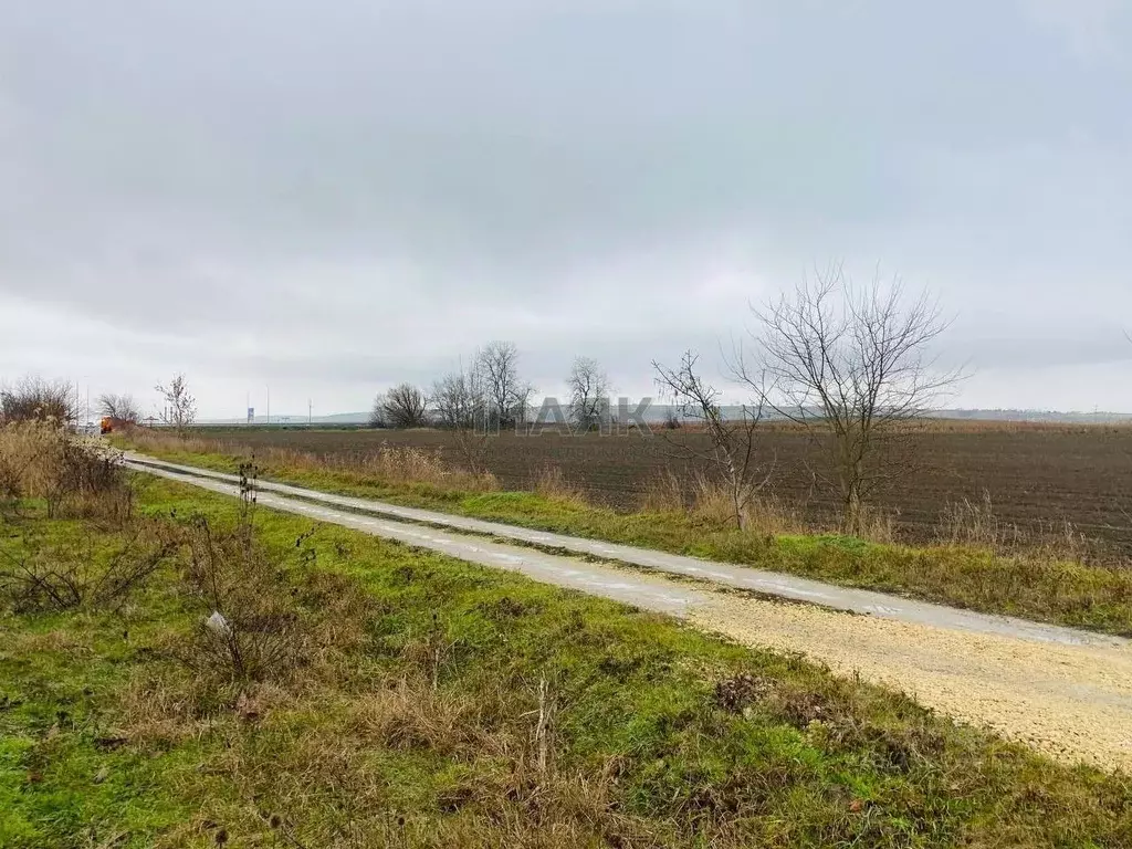 Участок в Краснодарский край, Славянский район, Коржевское с/пос, ... - Фото 2