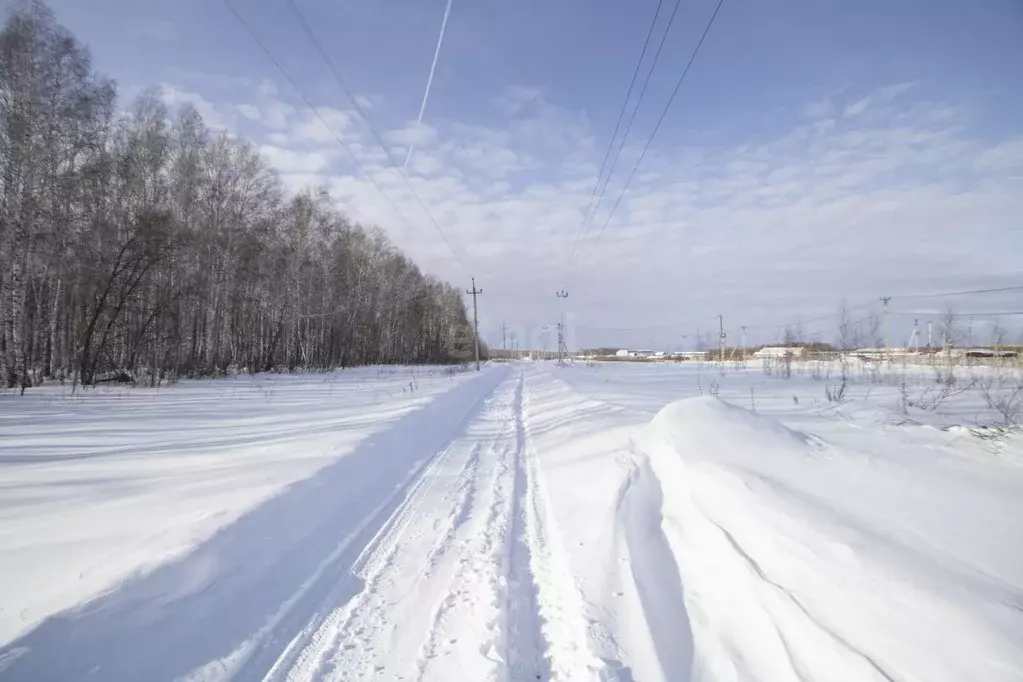 Участок в Тюменская область, Тюменский муниципальный округ, пос. ... - Фото 2