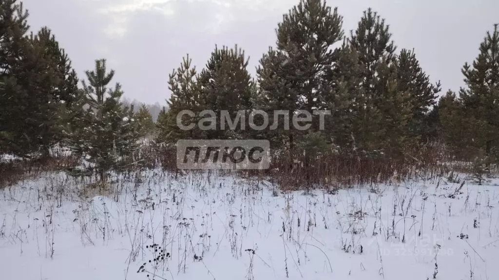 Участок в Тюменская область, Тюменский муниципальный округ, ... - Фото 2