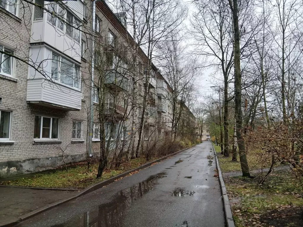 2-к кв. Санкт-Петербург, Санкт-Петербург, Красное Село просп. Ленина, ... - Фото 2