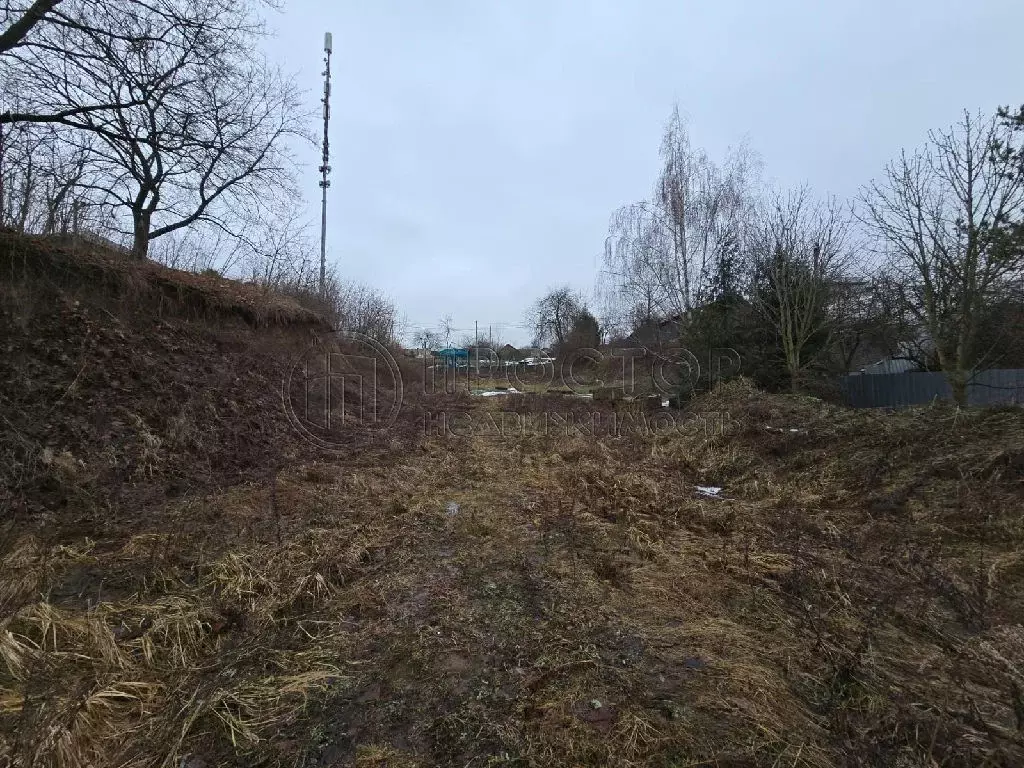 Продается участок в д. Пуговичино - Фото 2