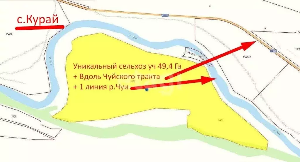 Участок в Кош-Агачский район, село Чаган-Узун (4930 м) - Фото 2