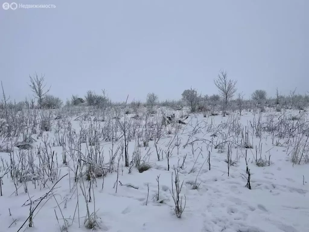 Дом в Саранск, садоводческое товарищество Фрегат (30 м) - Фото 1