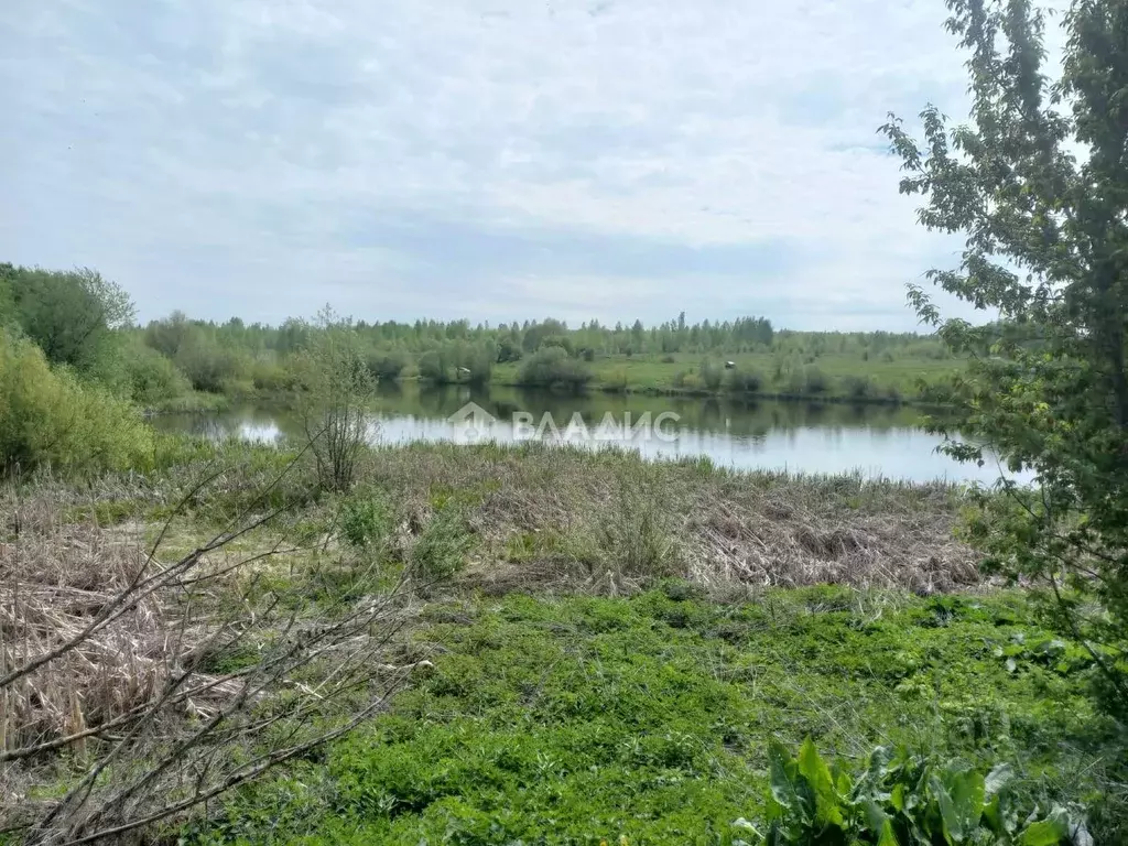 Участок в Пензенская область, Пензенский район, Богословский ... - Фото 2