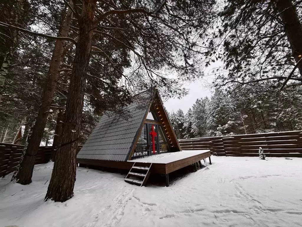 Дом в Пензенская область, Бессоновский район, пос. Подлесный, Лесное ... - Фото 2