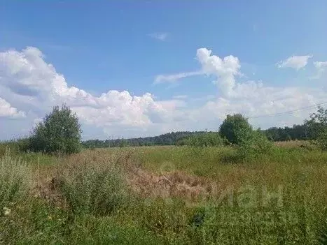 Участок в Московская область, Сергиево-Посадский городской округ, д. ... - Фото 1