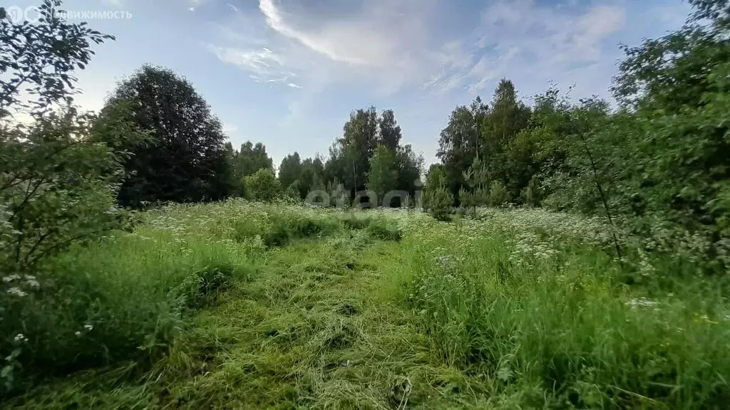 Участок в муниципальное образование Новосельское, деревня Горожёново ... - Фото 0