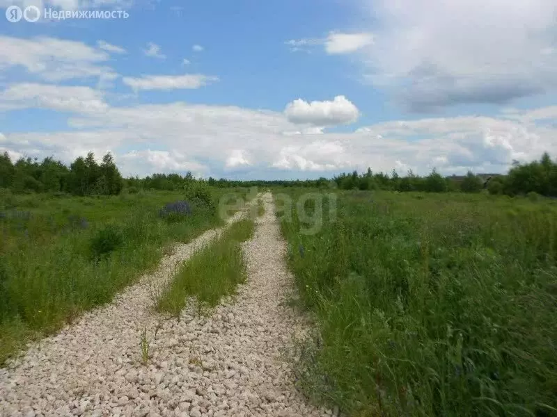 Участок в Нижегородская область, Богородский муниципальный округ, село ... - Фото 1