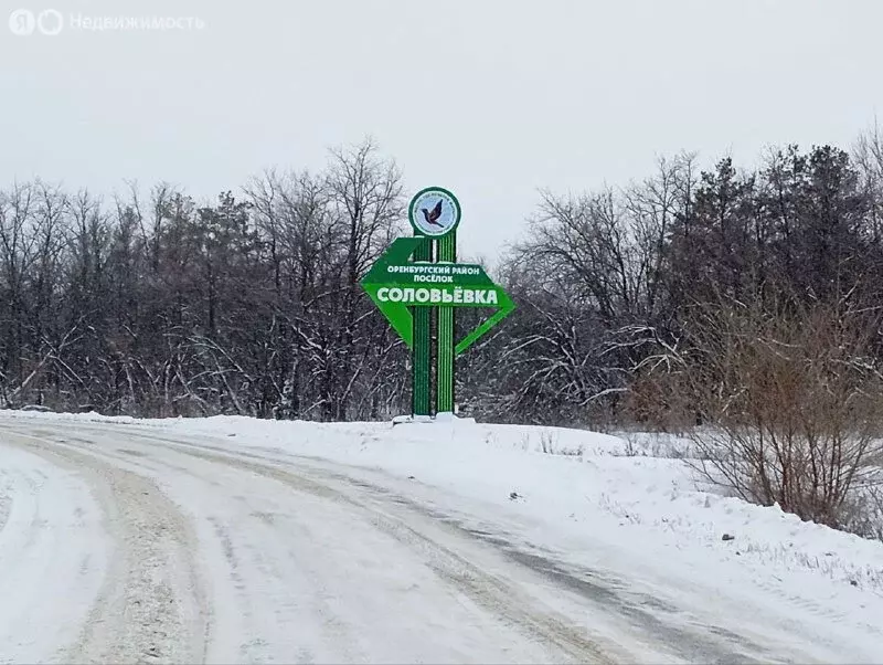 Участок в Оренбургский район, посёлок Соловьёвка (7 м) - Фото 1