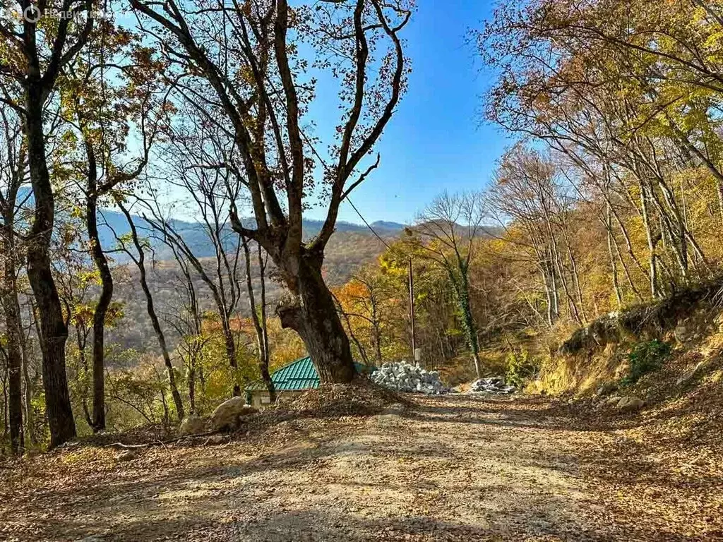 Участок в Республика Крым, Алушта (6 м) - Фото 1