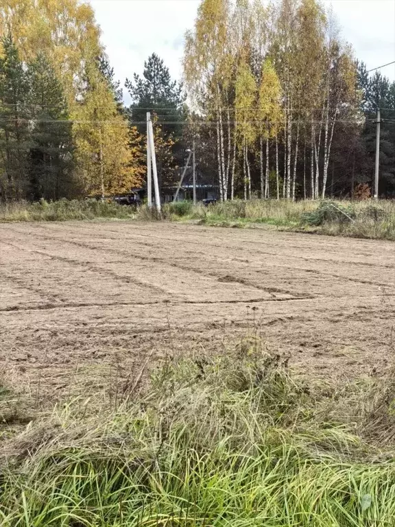 Участок в Ярославская область, Рыбинский муниципальный округ, д. ... - Фото 2