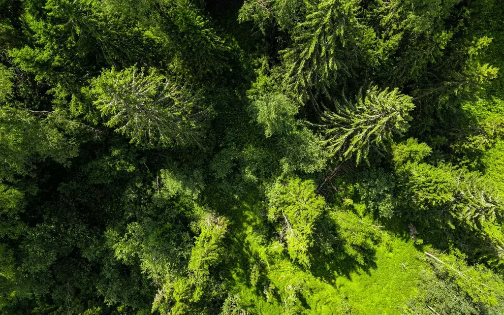 Участок в Московская область, Волоколамский муниципальный округ, ... - Фото 2