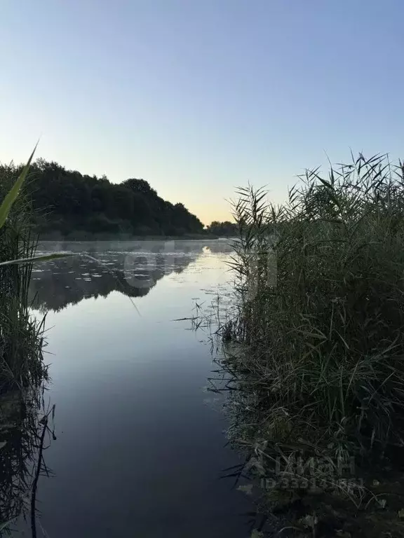 Участок в Калининградская область, Калининград Дунай ТСН, 6 (16.65 ... - Фото 2