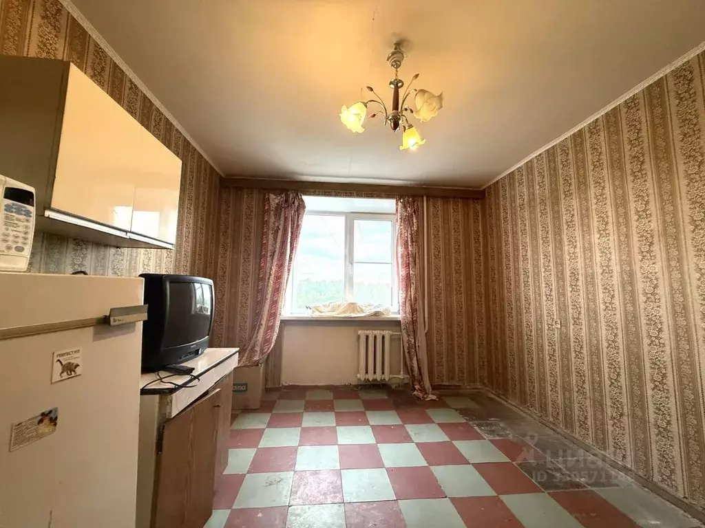Комната Санкт-Петербург пос. Металлострой, Садовая ул., 21к3 (12.6 м) - Фото 2